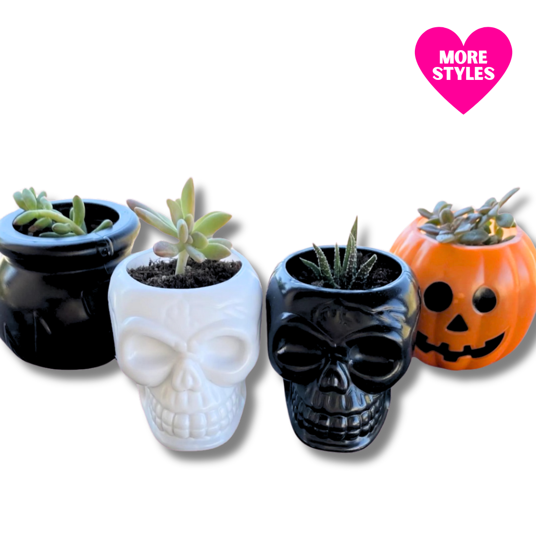 halloween pots for plants Halloween Planters – Kroped