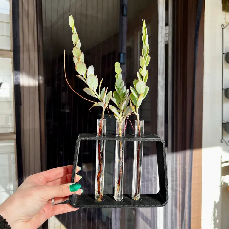 Test Tube Water Propagation Stand