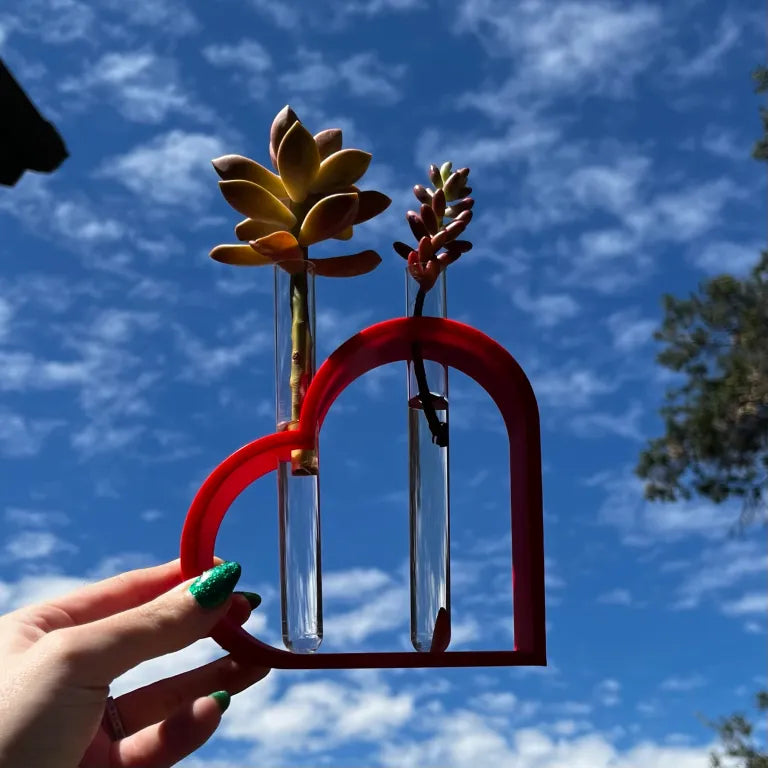 Heart Propagation Stand
