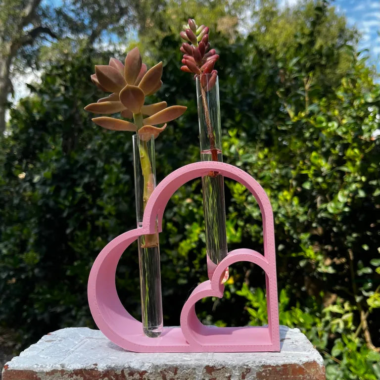 Heart Propagation Stand