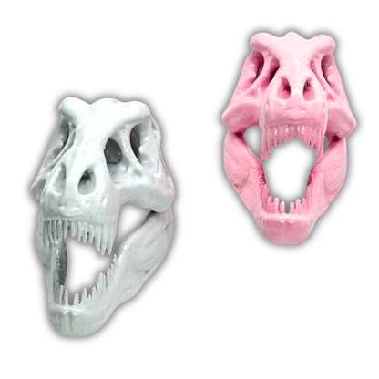 T-Rex Dinosaur Skull Magnet