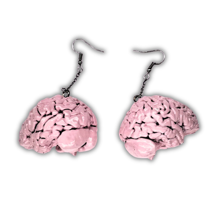 3D Anatomical Brain Earrings