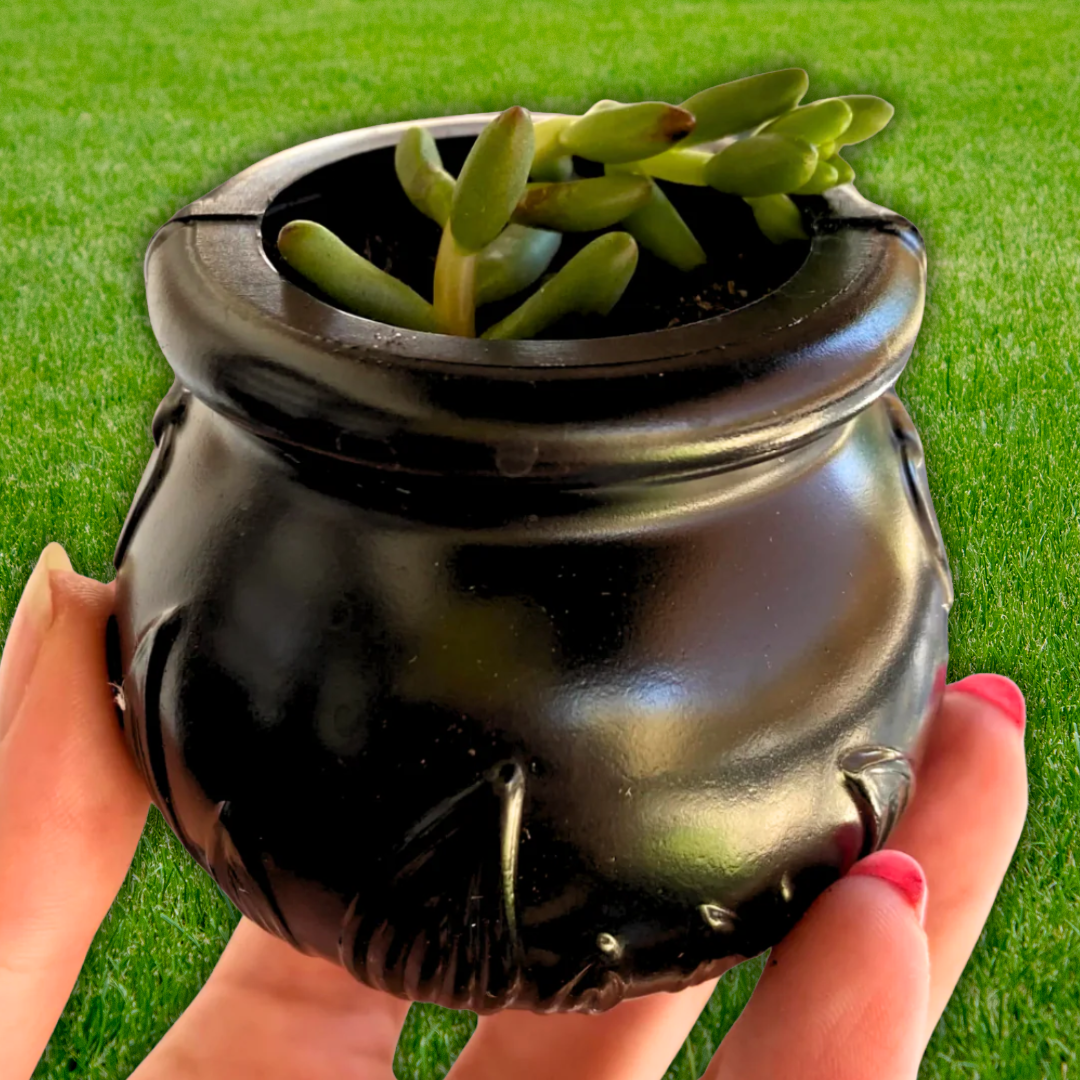 Halloween Planters