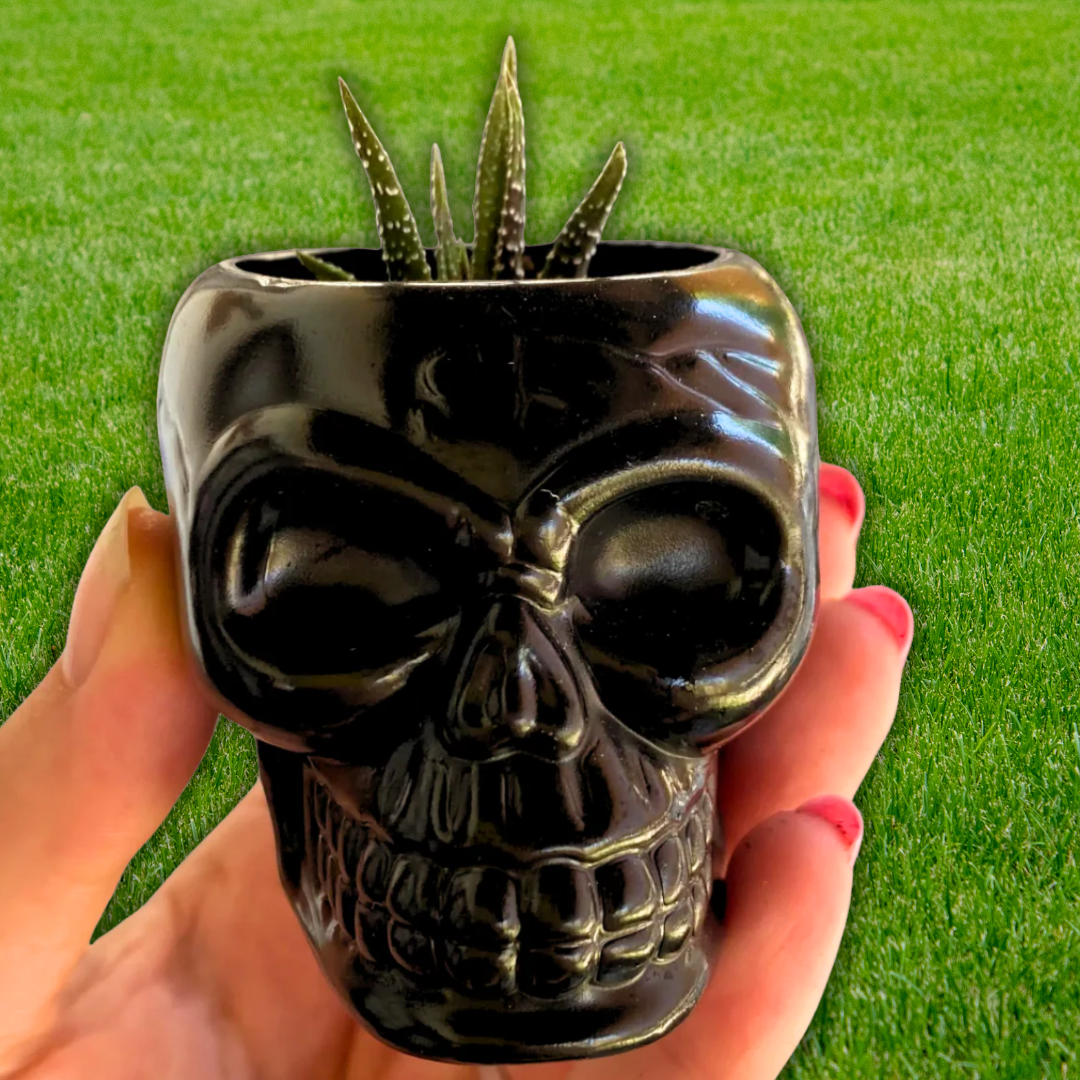 Halloween Planters