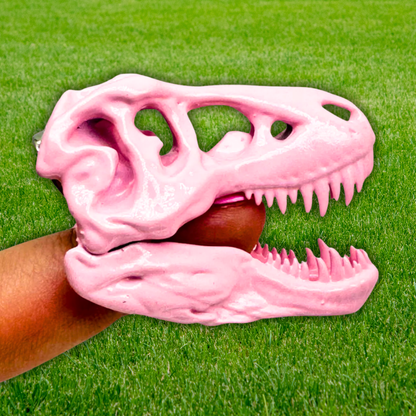 T-Rex Dinosaur Skull Magnet