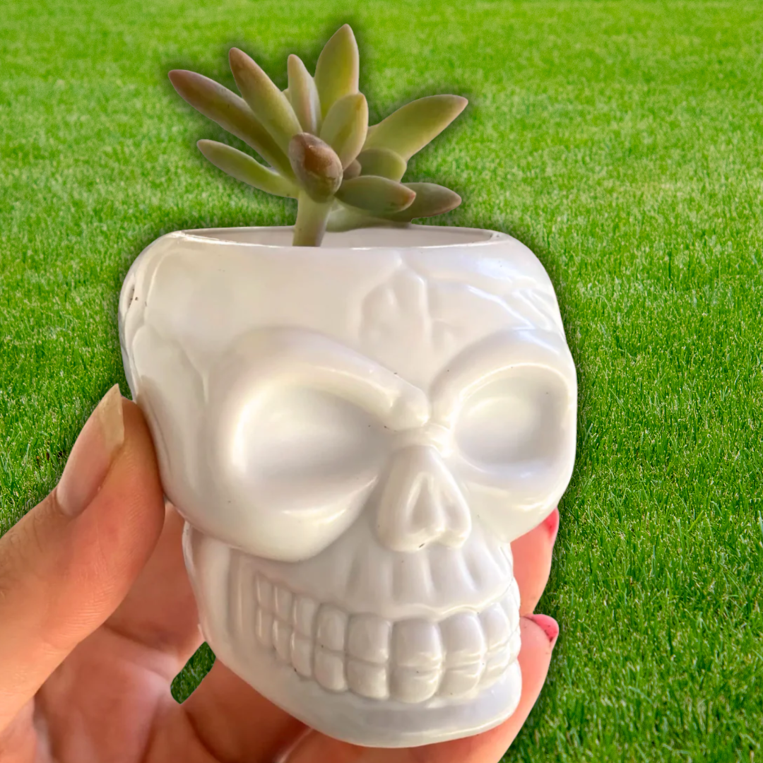 Halloween Planters