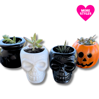 Halloween Planters