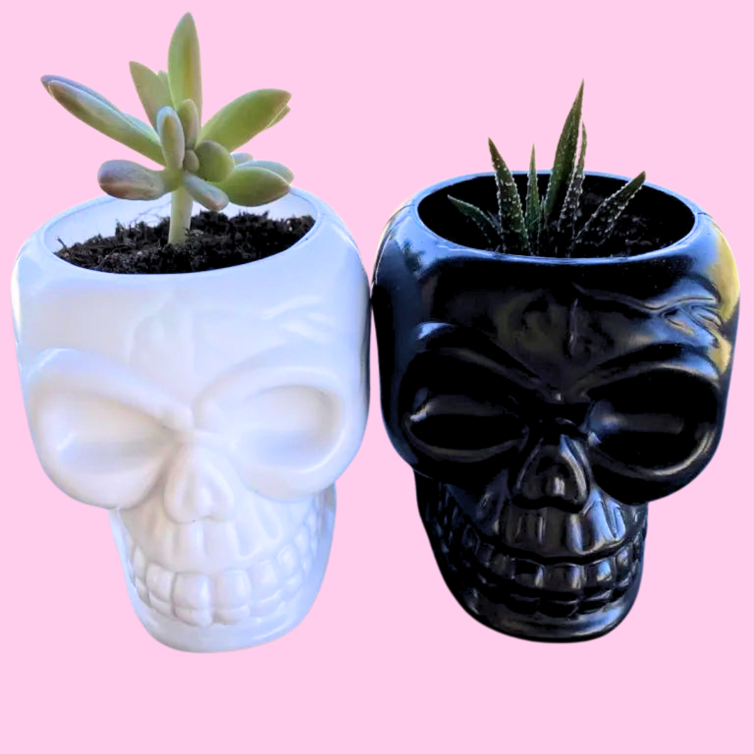 Halloween Planters