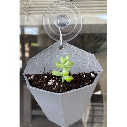 Suction Cup Hanging Planter