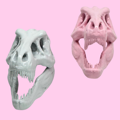 T-Rex Dinosaur Skull Magnet